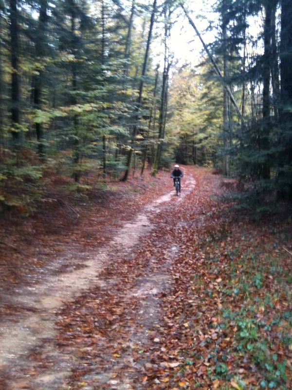 Sortie VTT dimanche 04 novembre 2012 (2)