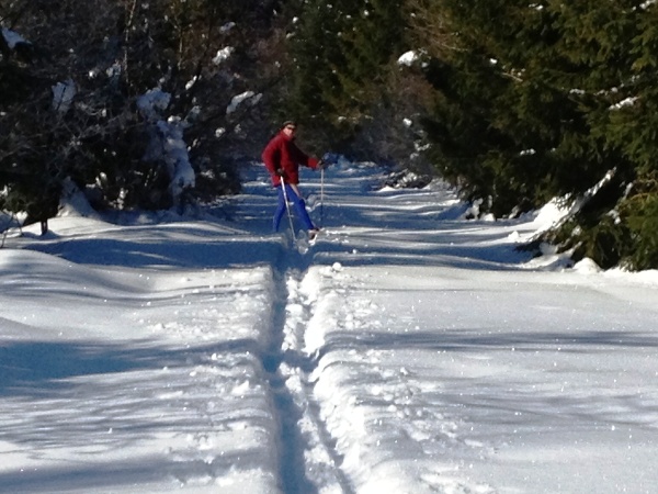 Sortie VTT dimanche 17 fvrier 2013 (2)