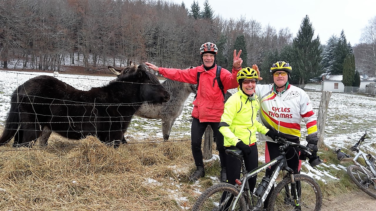 Sortie VTT dimanche 03 dcembre 2017 (1)