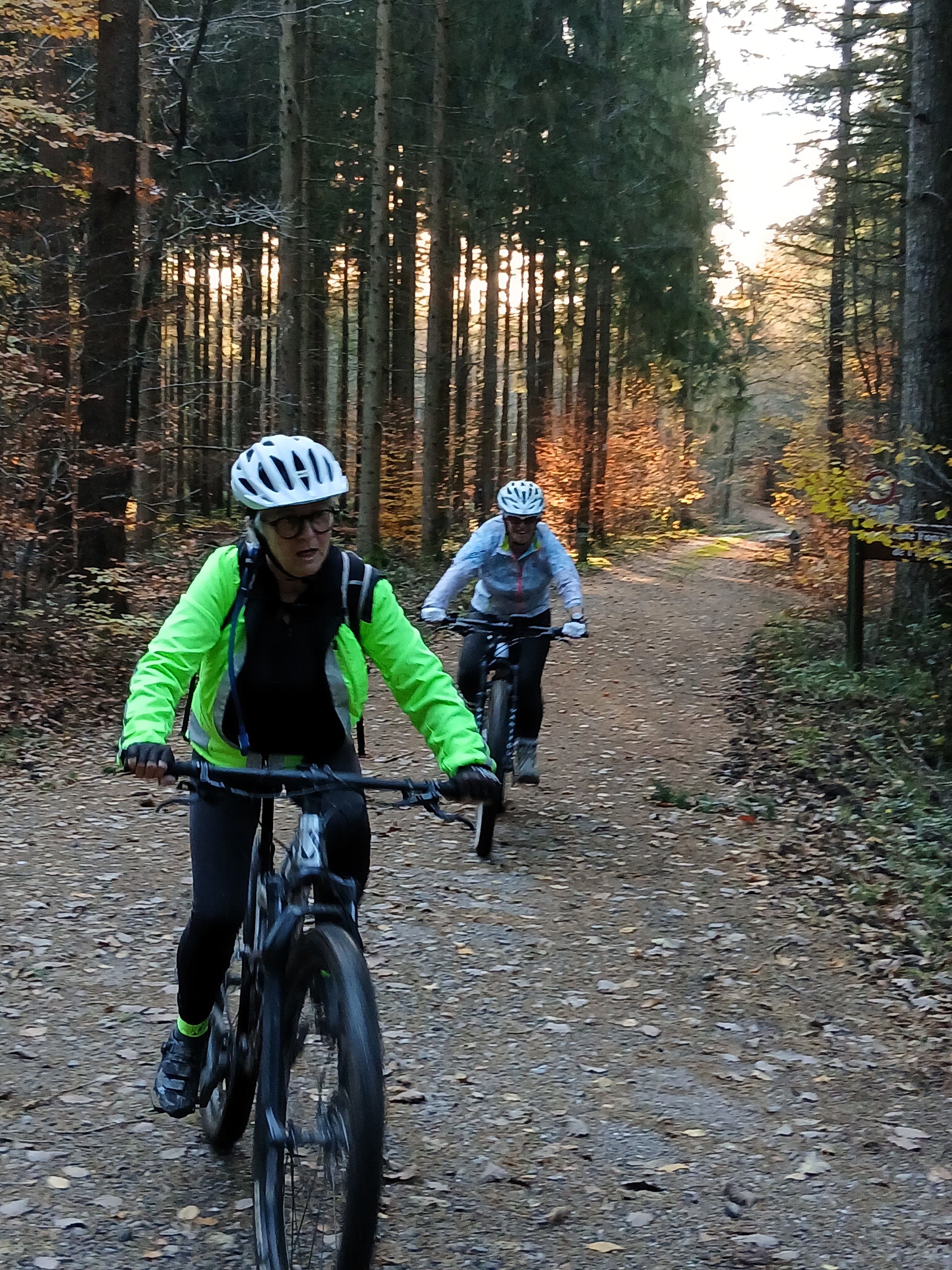 Sortie mercredi 05 novembre 2025 (2)