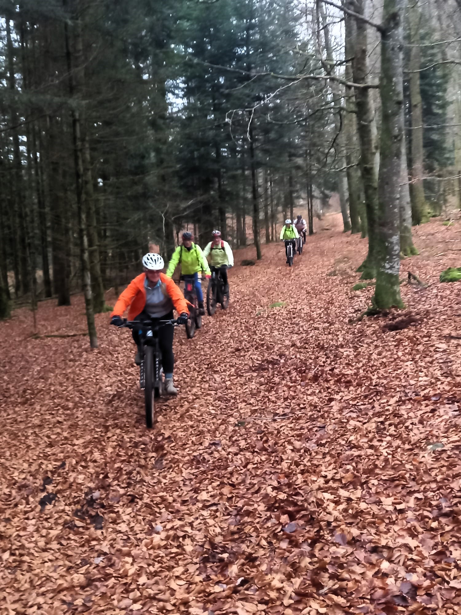 Sortie mercredi 10 décembre 2025 (1)