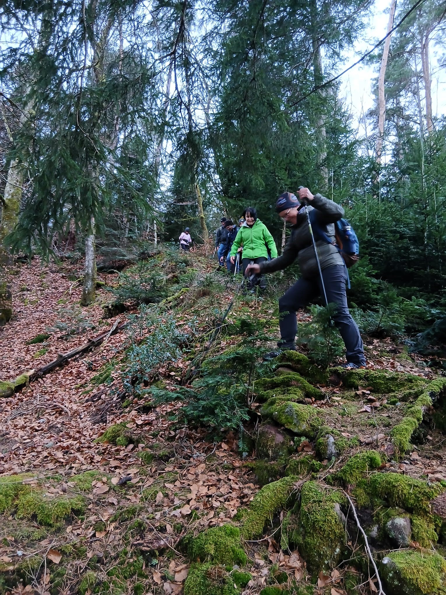 Sortie mercredi 14 janvier 2025 (4)