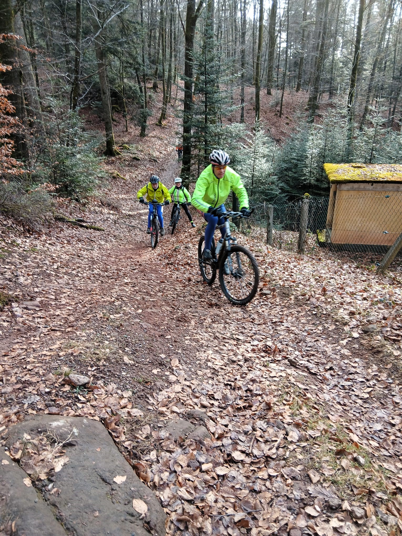 Sortie mercredi 21 janvier 2025 (1)