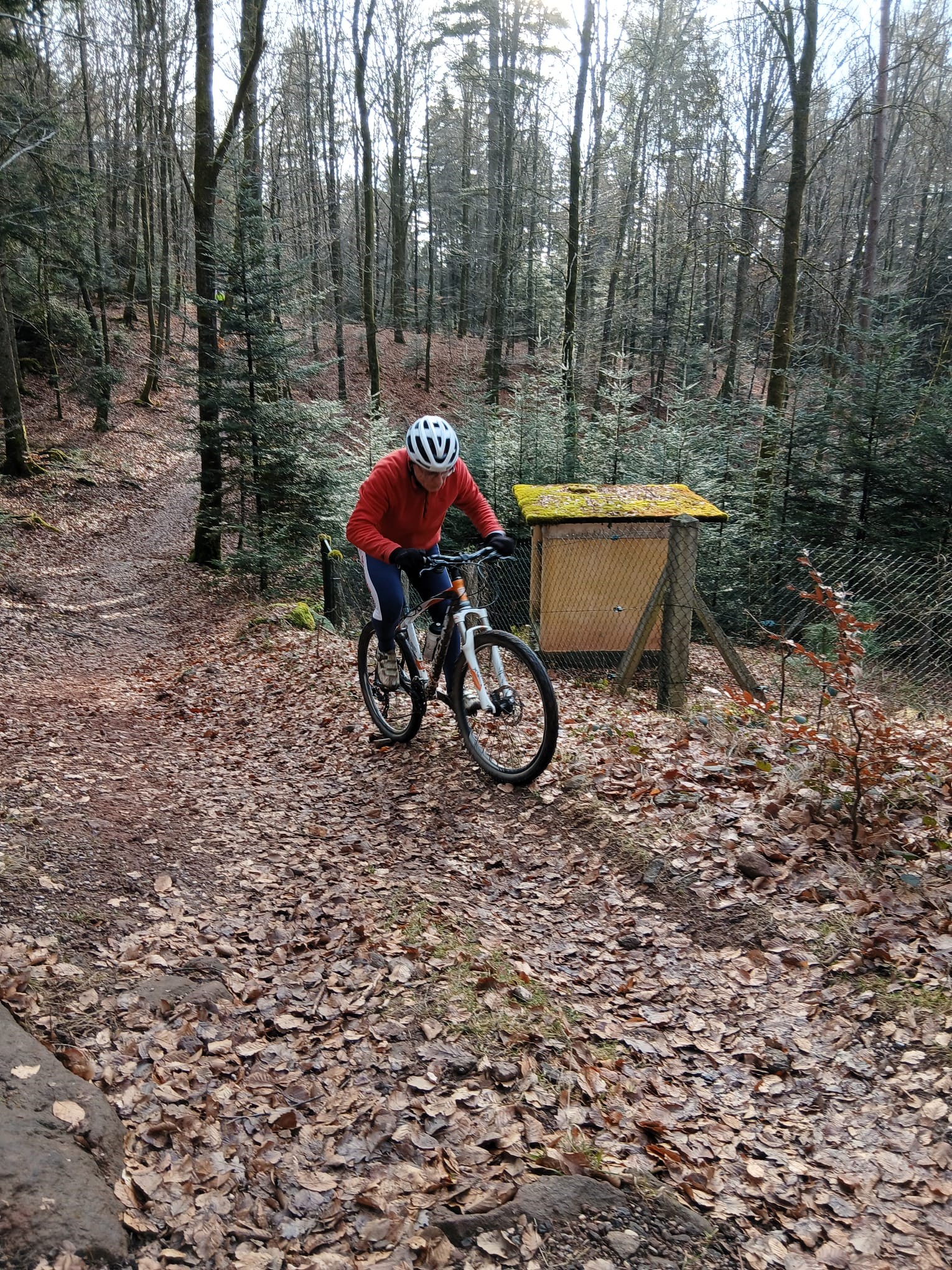 Sortie mercredi 21 janvier 2025 (3)