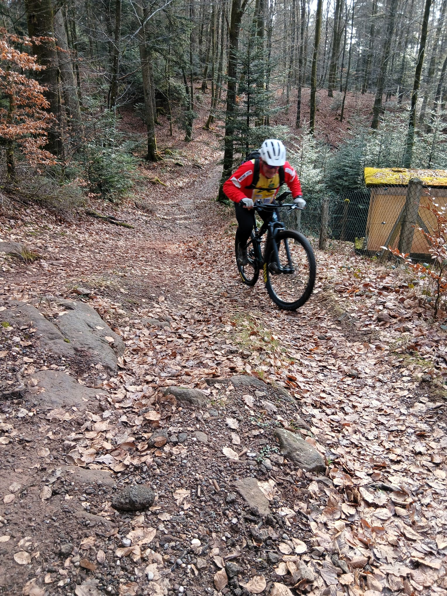 Sortie mercredi 21 janvier 2025 (4)