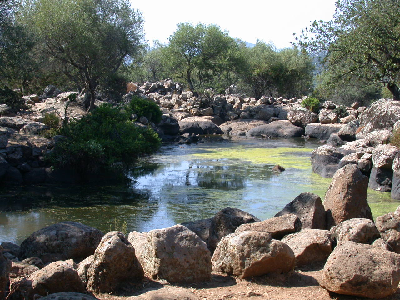 Sardaigne 2014 (1)