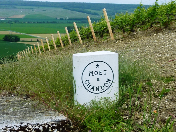 La Montagne de Reims 14-17 mai 2015 (1)