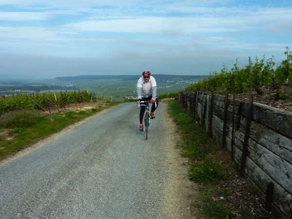 La Montagne de Reims 14-17 mai 2015 (14)