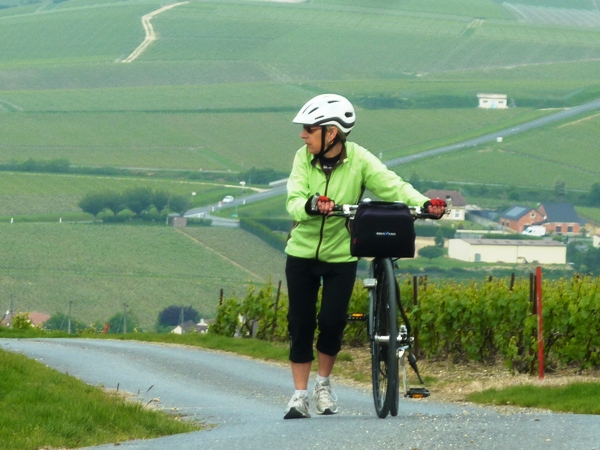 La Montagne de Reims 14-17 mai 2015 (8)