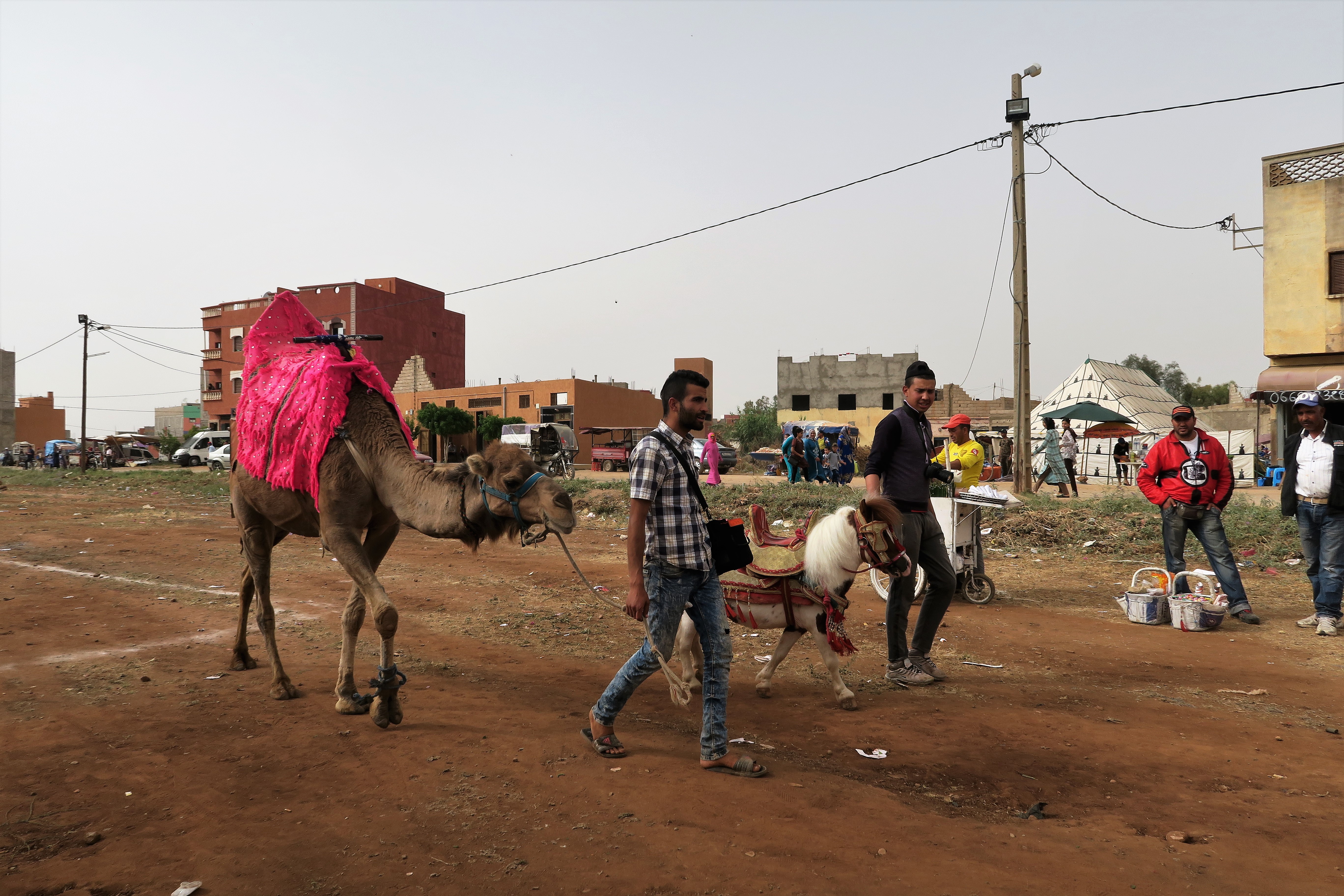 Maroc 2017 (116)