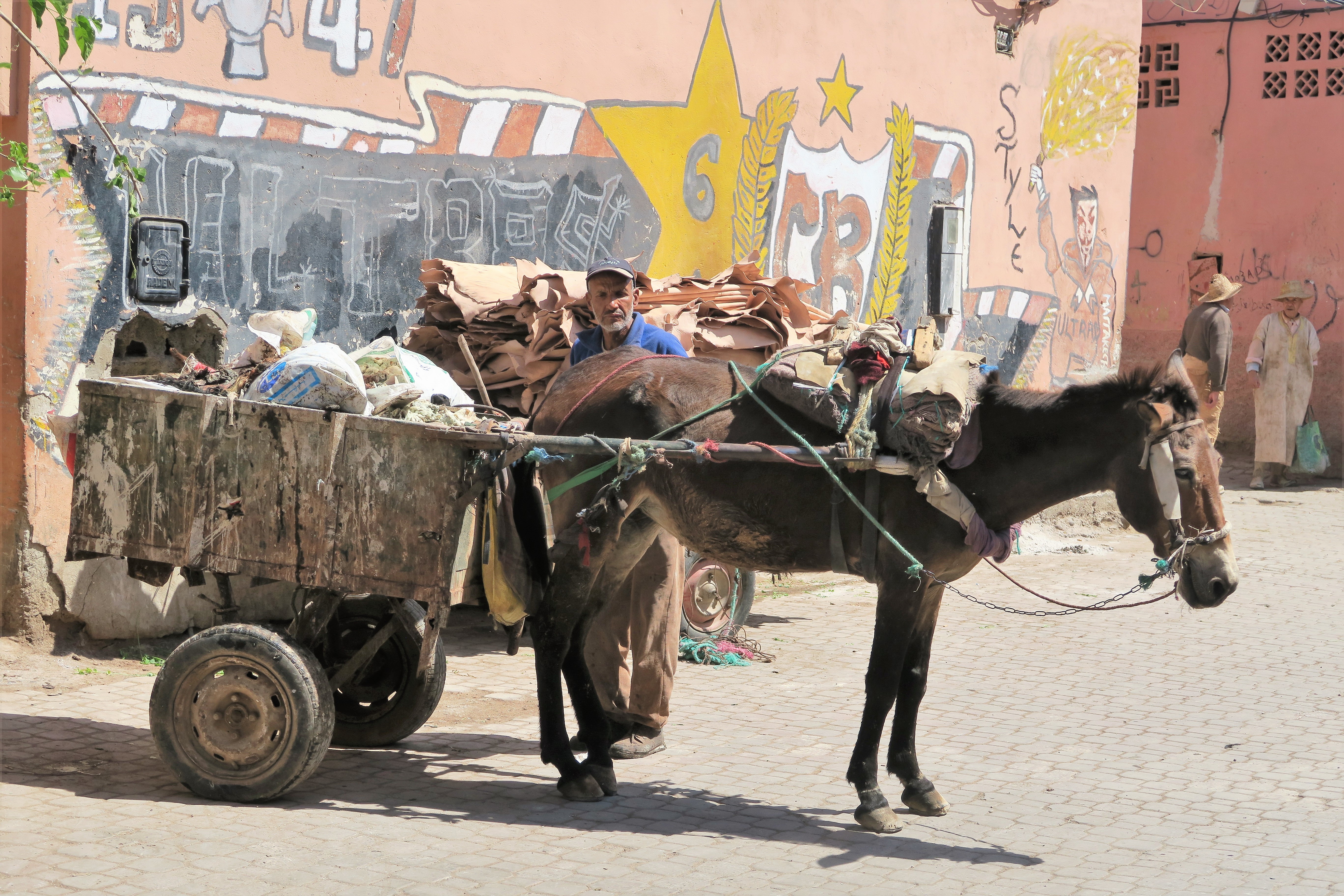 Maroc 2017 (145)