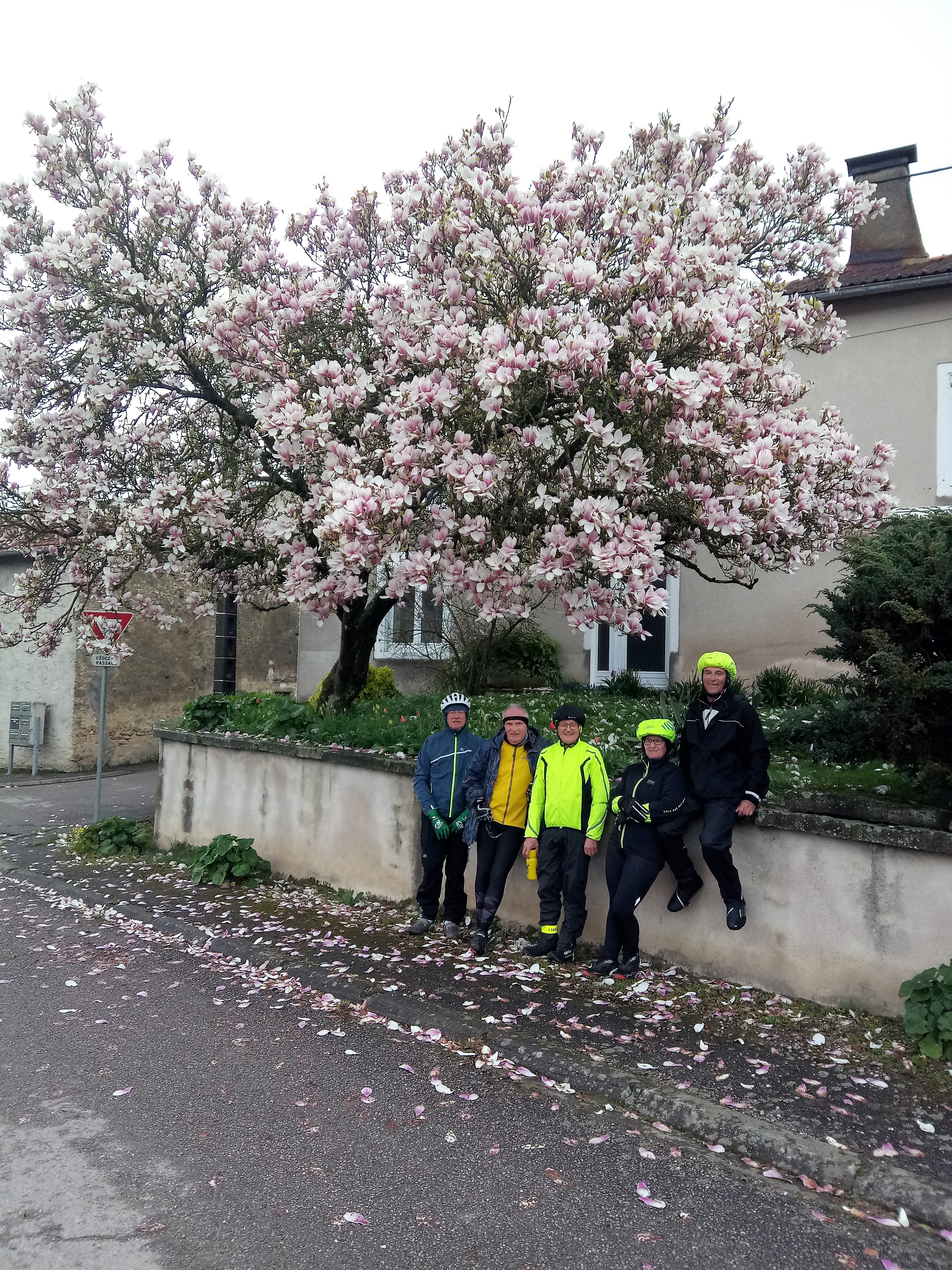 Sortie mercredi 03 avril 2019 (1)