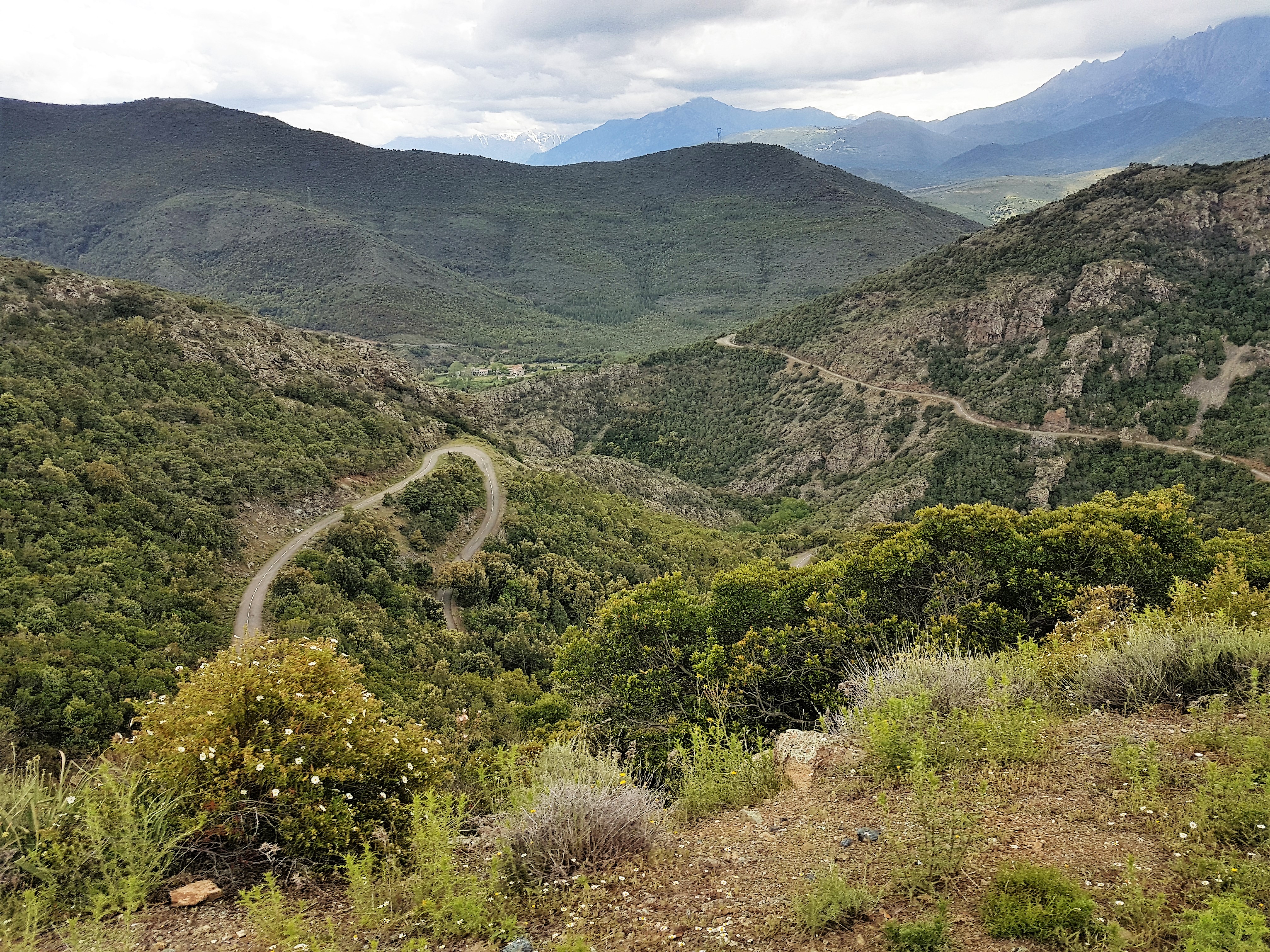 Sortie Cap corse Balagne 20 mai 2019 (10)