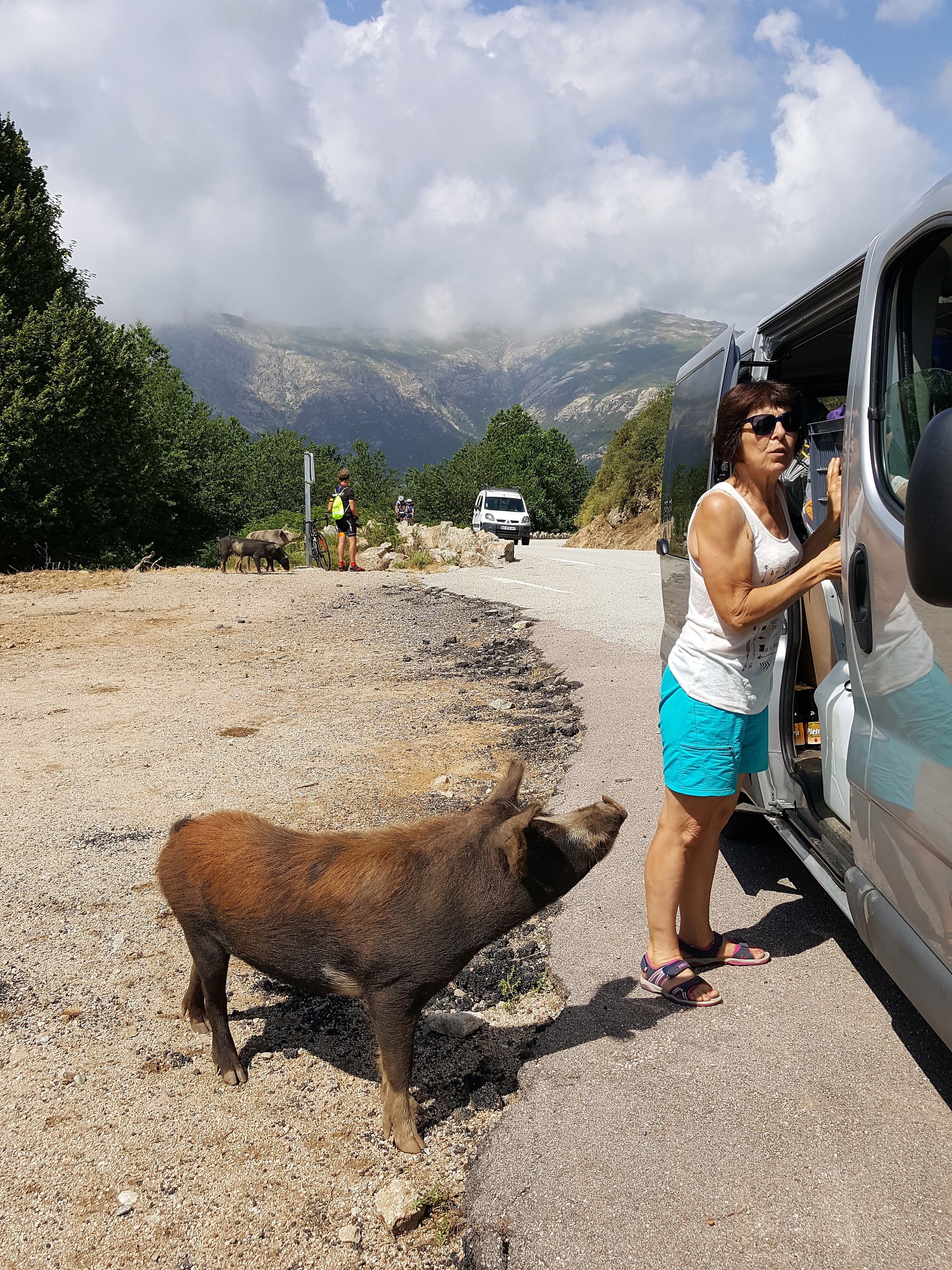 Corse du sud juillet 2019 (3)