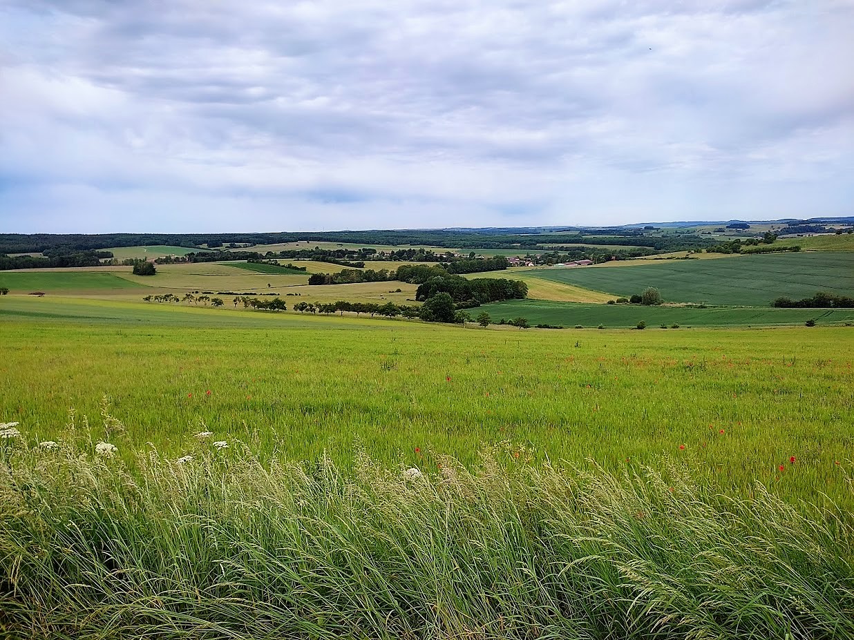 Sortie dimanche 22 mai 2022 (6)