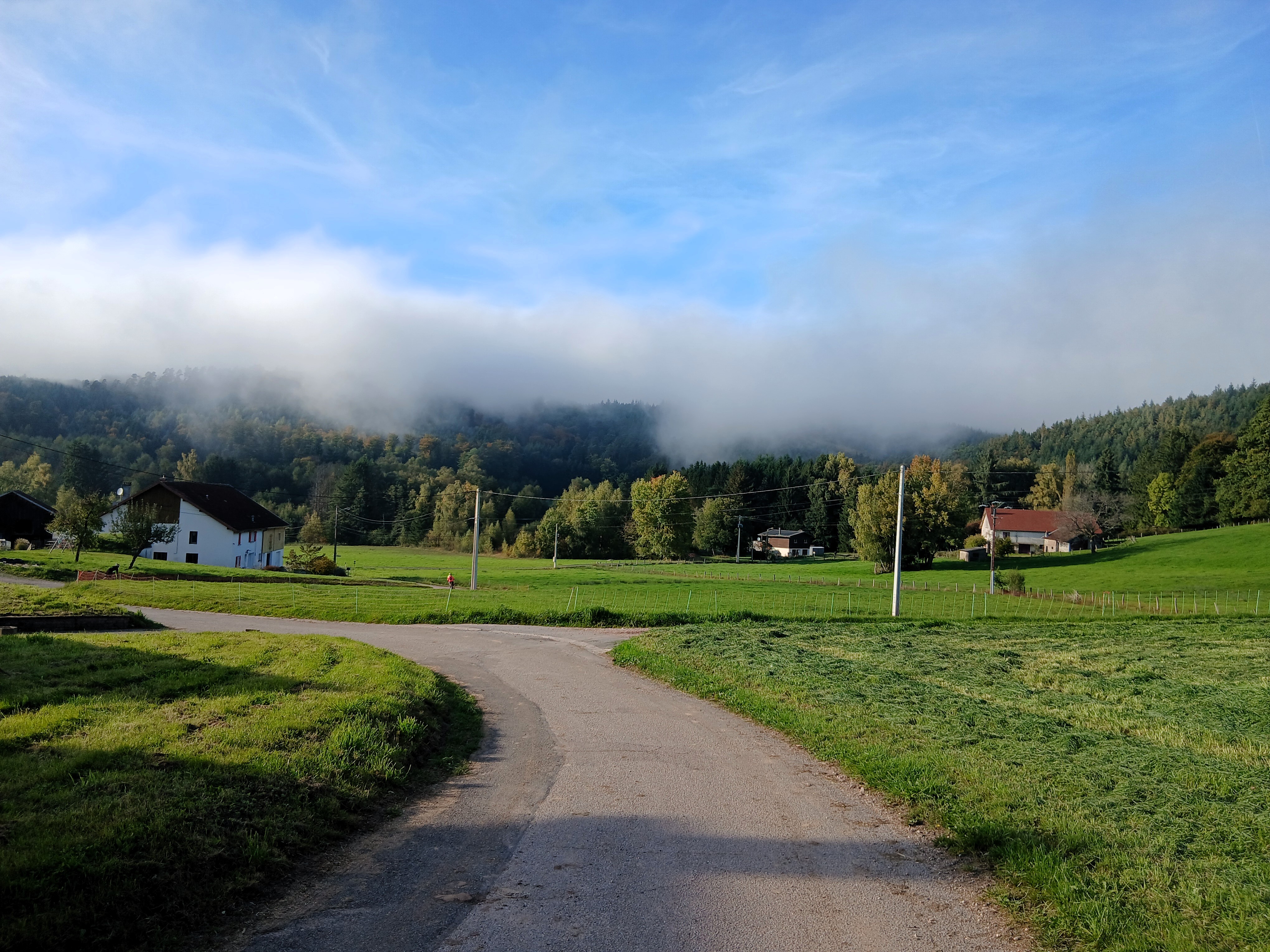 Sortie mercredi 8 octobre 2025 (2)