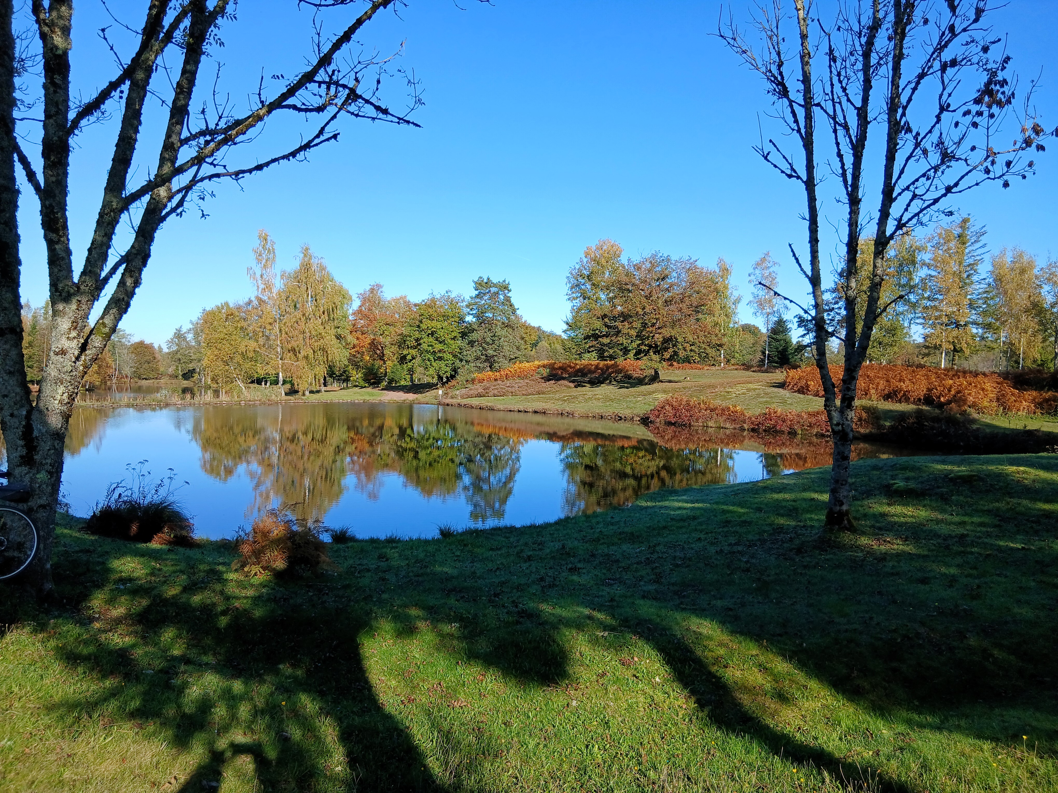 Sortie mercredi 15 octobre 2025 (3)