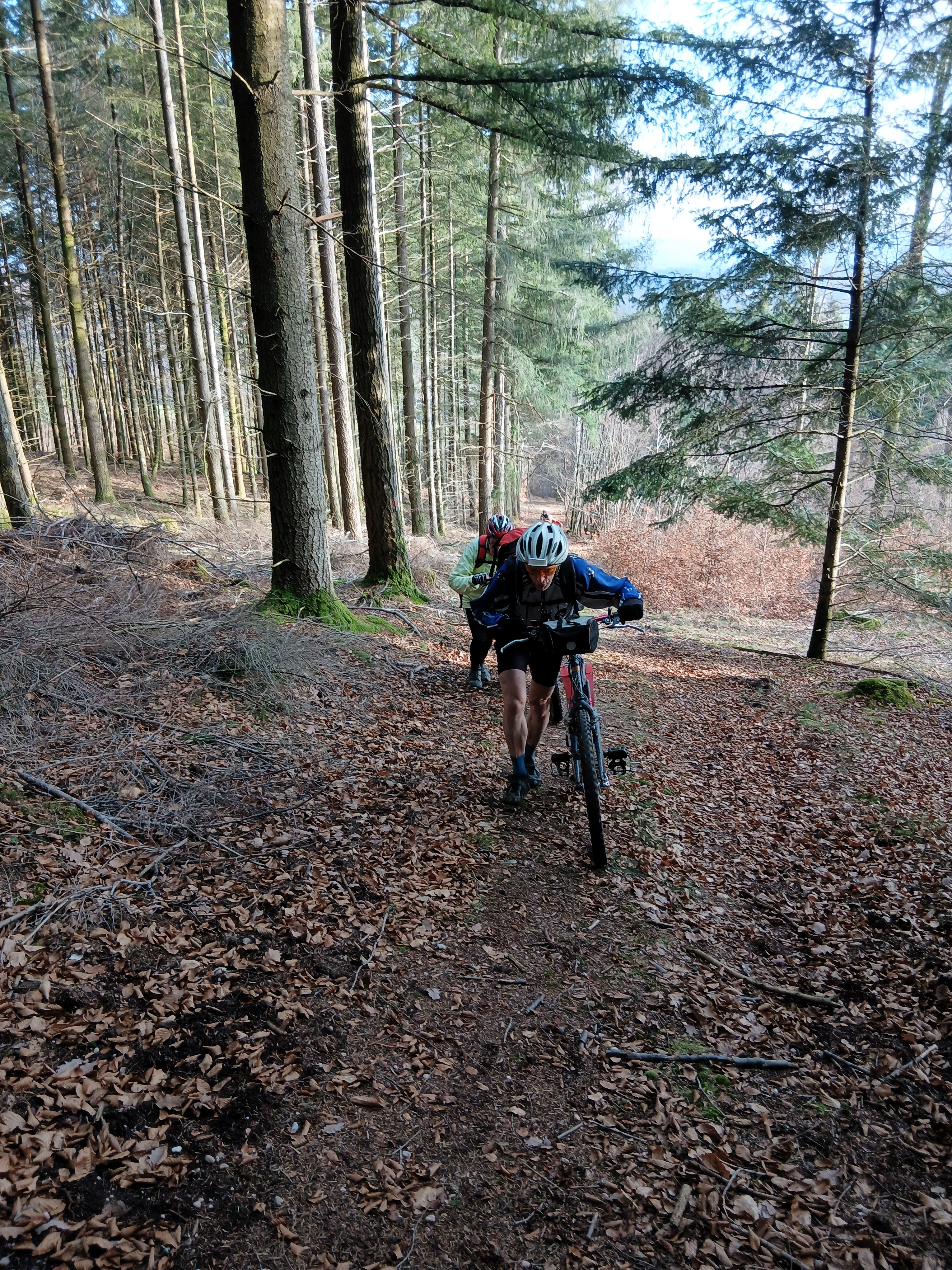 Sortie mercredi 17 décembre 2025 (2)