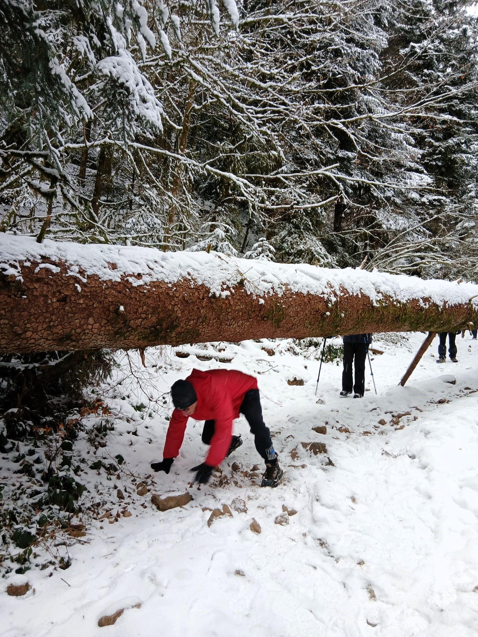 Sortie mercredi 07 janvier 2025 (2)