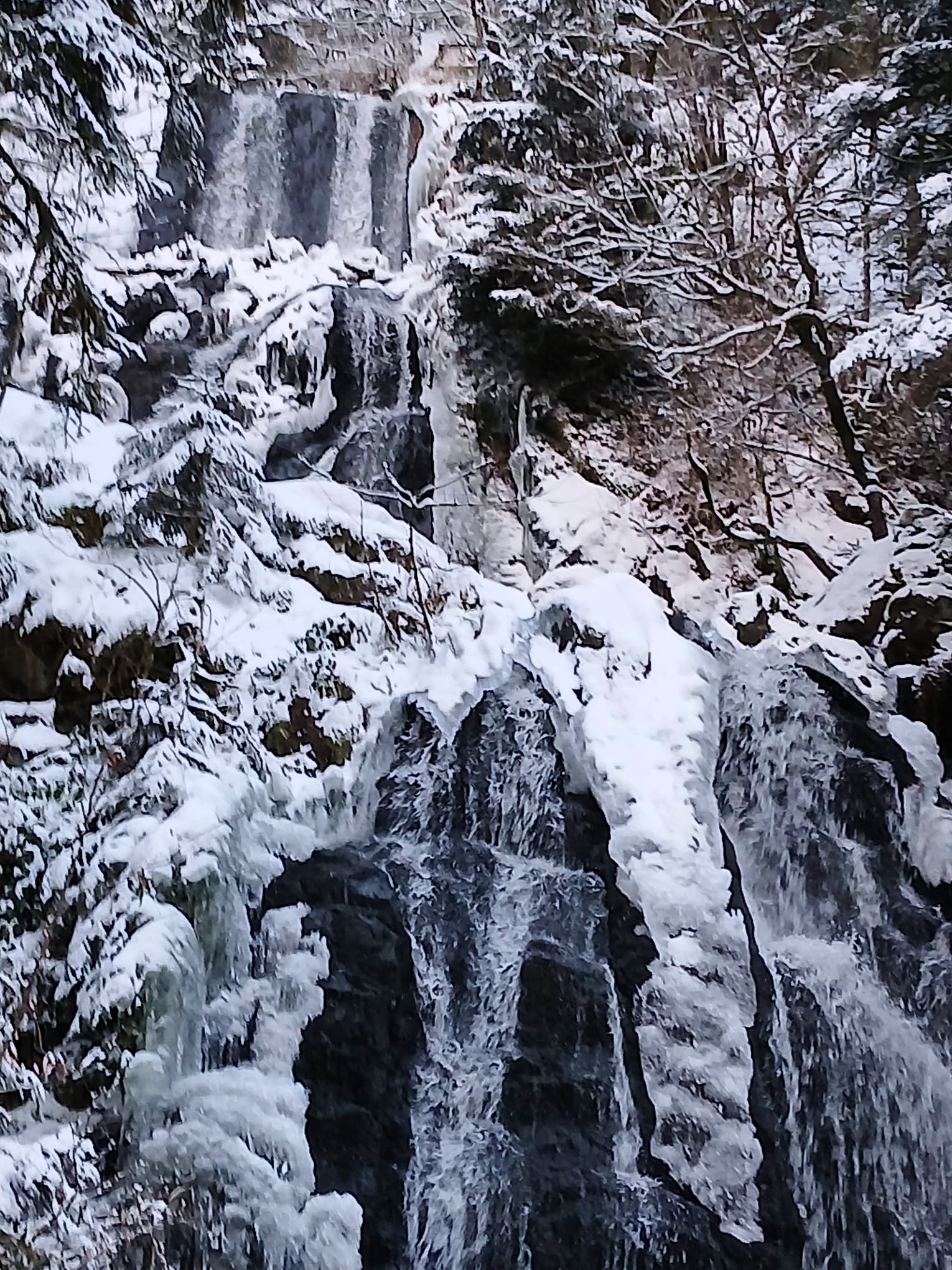 Sortie mercredi 07 janvier 2025 (9)