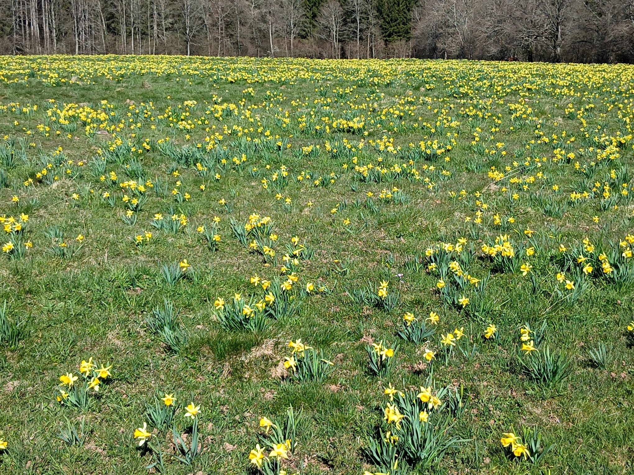 Sortie mercredi 08/04/2026 (5)